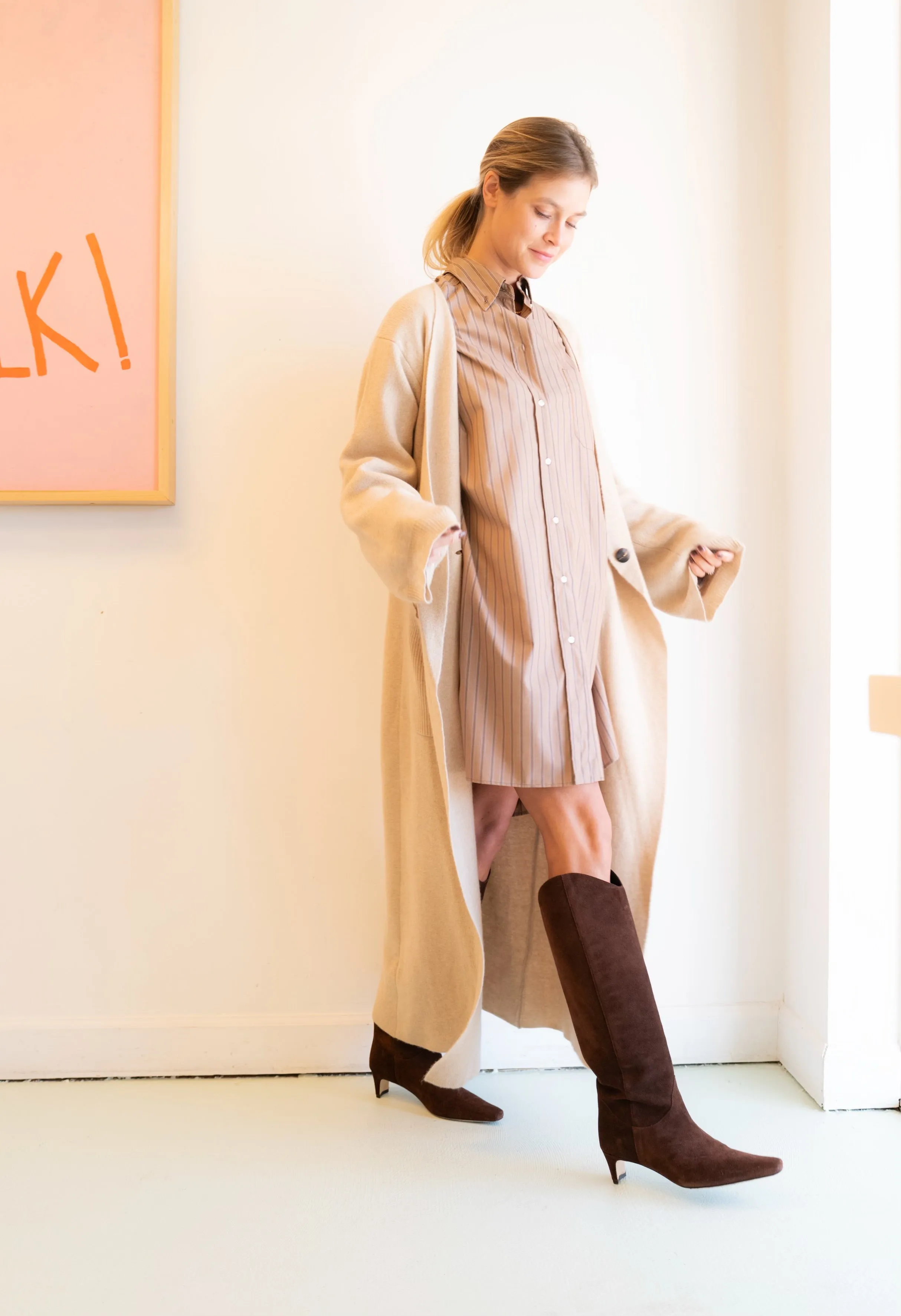 Candide Shirt Dress