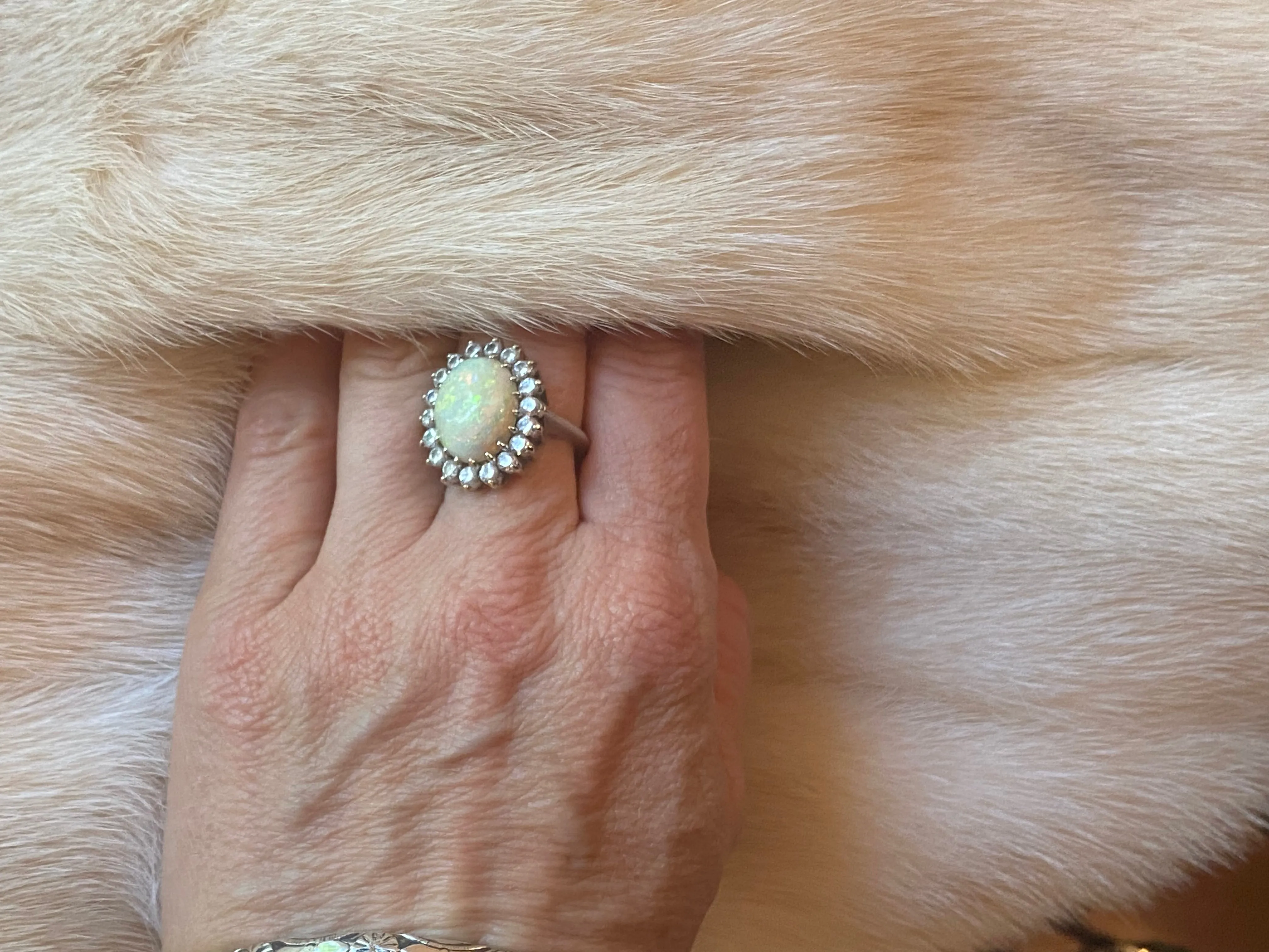 Luxurious 1960's Ivory Pearl Mink Jacket / Medium