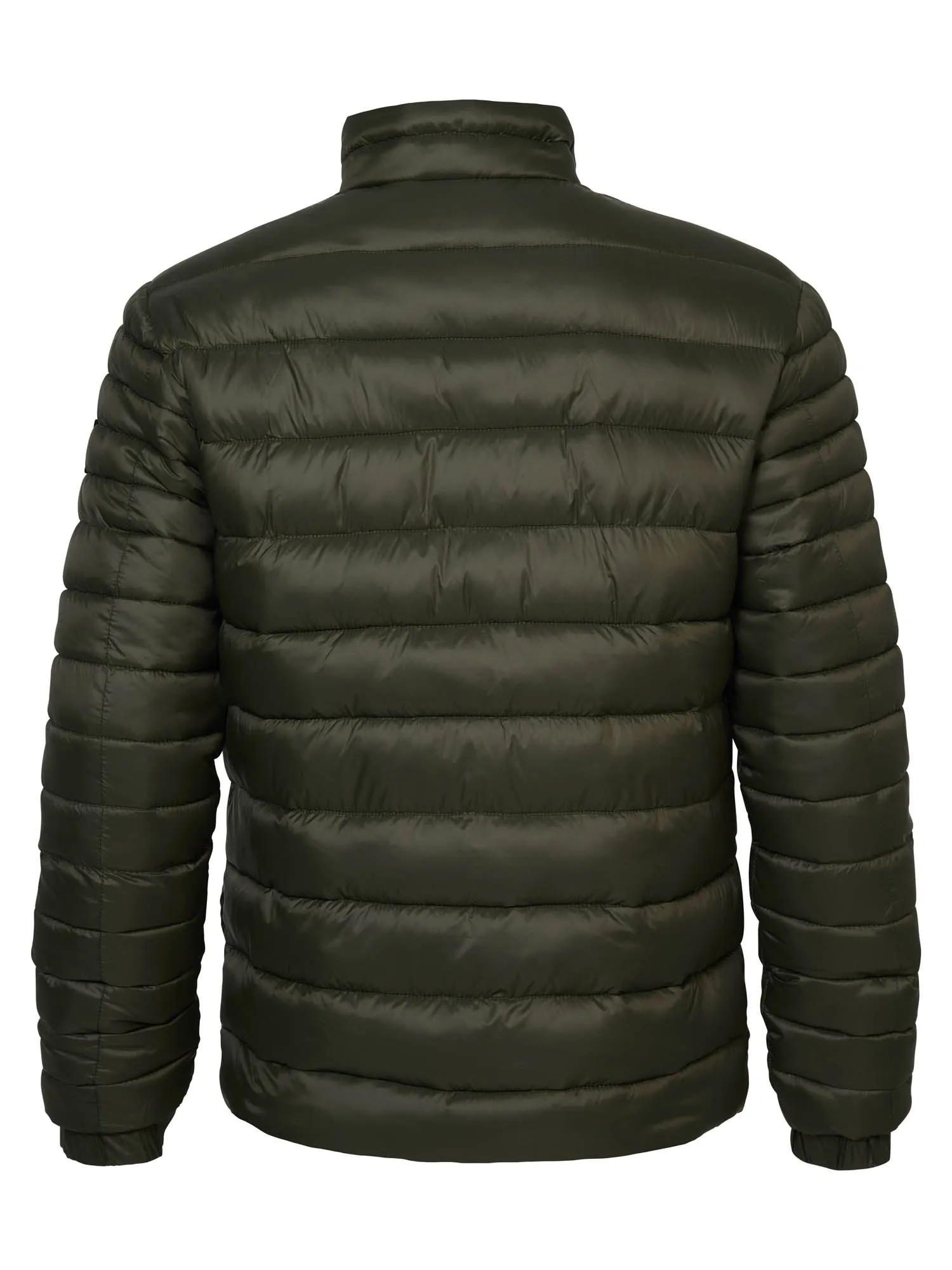 Padded Jacket Elk Grove Village