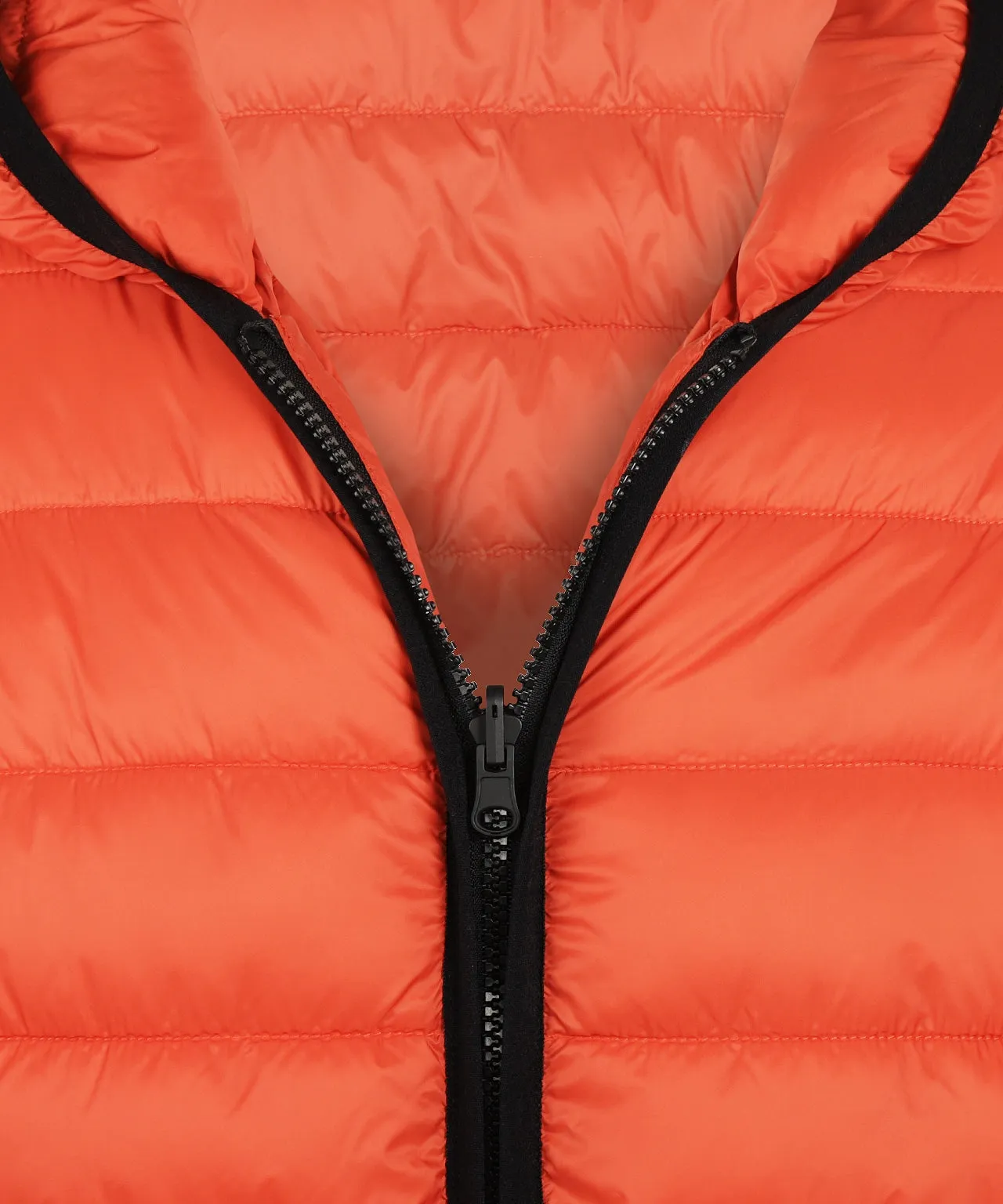 Parka 2-in-1 | Pine Green