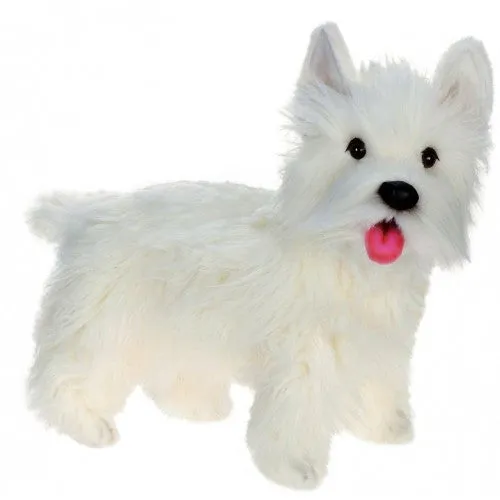 WEST HIGHLAND WHITE TERRIER  (WESTIE)  DOG 20''L X 14.57" H